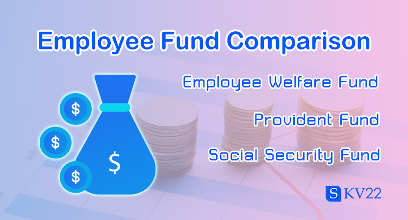 Comparison Between the Employee Welfare Fund, Provident Fund, and Social Security Fund – What Are the Key Differences?