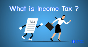 What is Income Tax and How Does It Work?