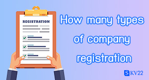 How many types of company registration are there?